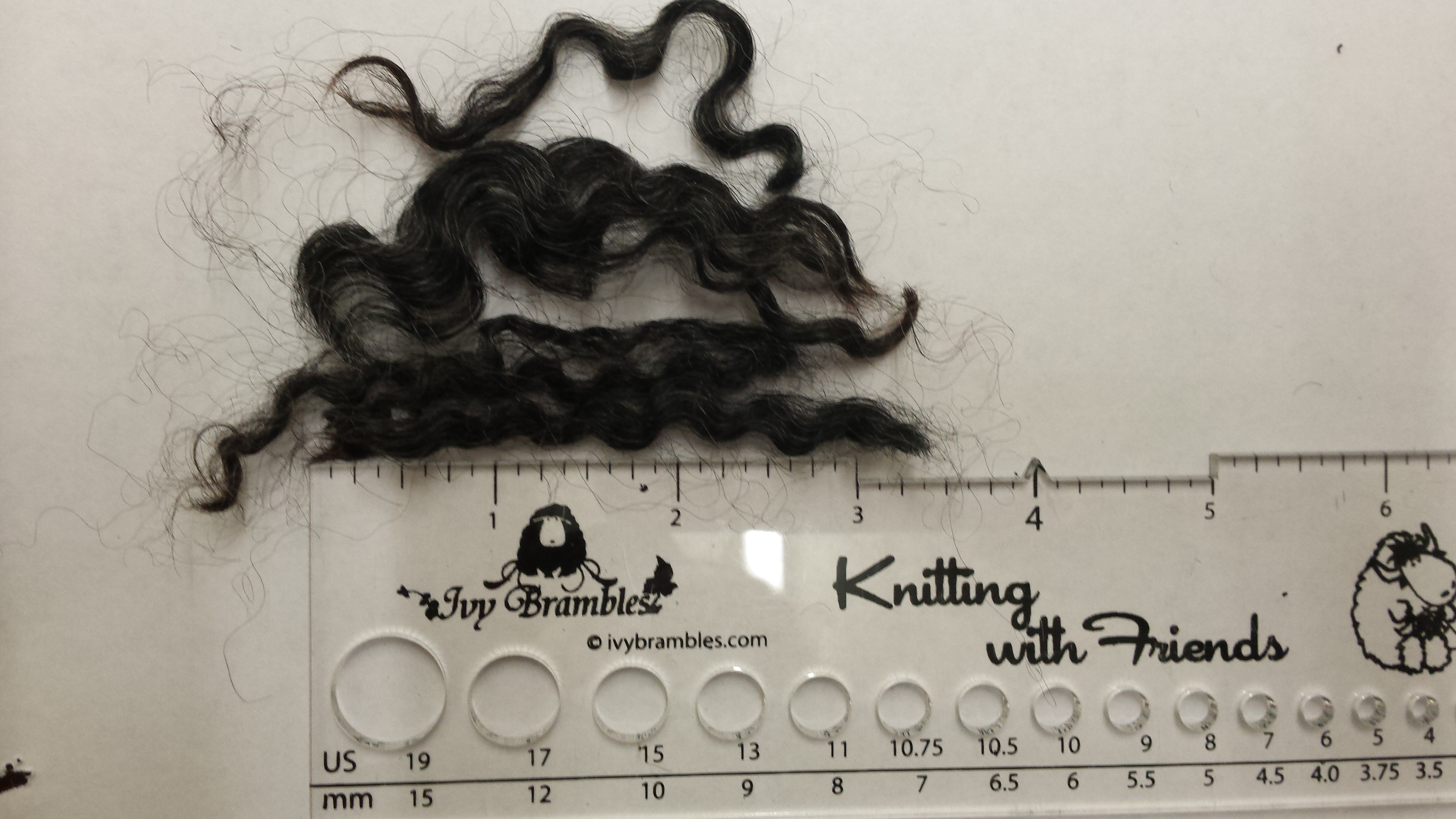 Border Leicester Curly Locks - Scoured - 1 oz - Dark Gray almost Black Coloring